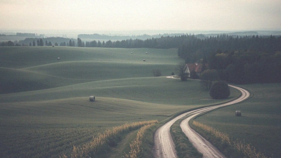 Kto nie musi płacić podatku od nieruchomości?