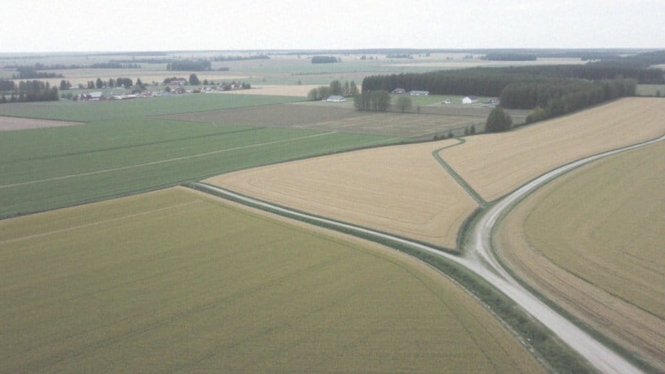 Jak ustalane są stawki podatków od gruntów?