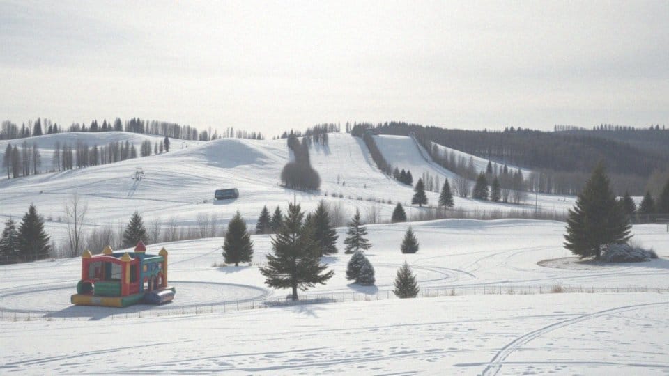 Jakie rozrywki przewiduje Centrum Aktywnego wypoczynku Koszałkowo-Wieżyca?