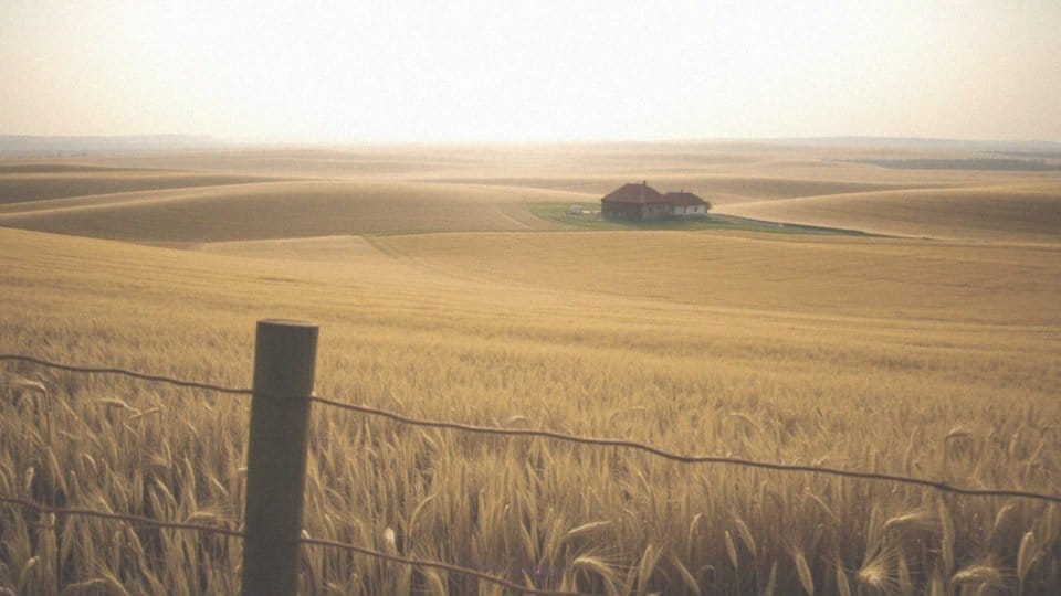 Ile trzeba mieć ziemi, żeby nie płacić podatku od nieruchomości?